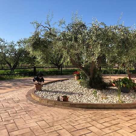 B&B Villa Eden Ortona Extérieur photo